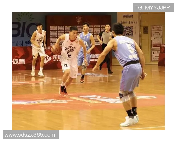 杭州篮球队运营革新探索：从管理模式到球迷体验的全方位提升