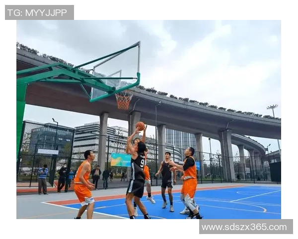 杭州篮球队的奋斗历程与荣耀时刻全景回顾