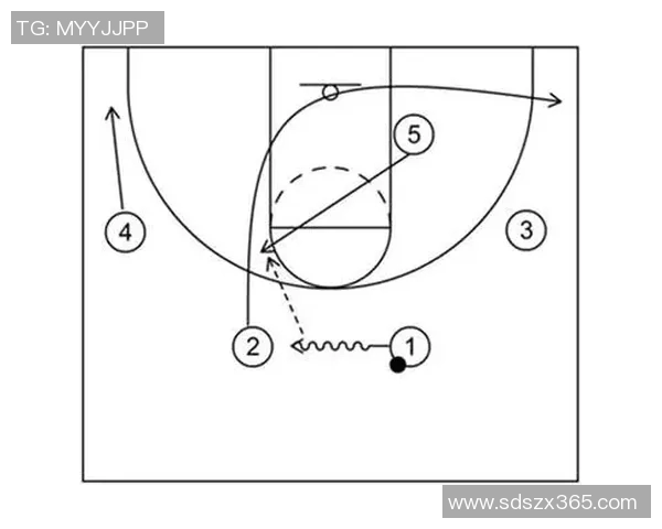 杭州篮球队整体压制体系的战术解析与实战应用探讨