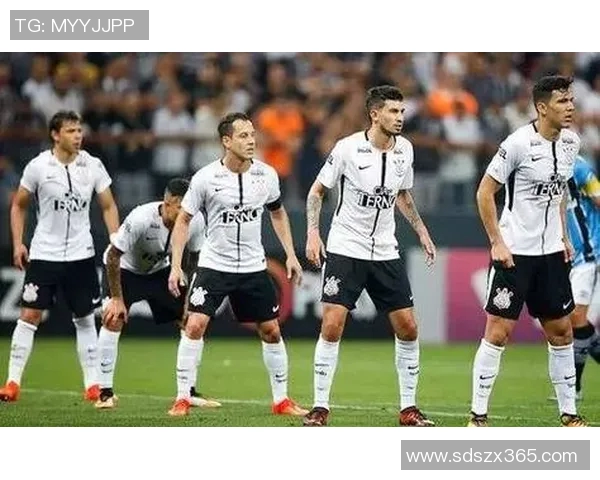 博塔弗戈与科林蒂安激战在即谁将赢得巴西足球的荣耀之战