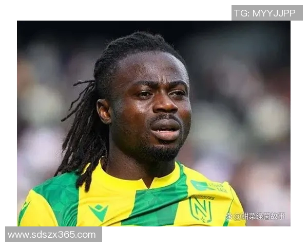 南锡与布雷斯特比赛前瞻分析及胜负预测详解