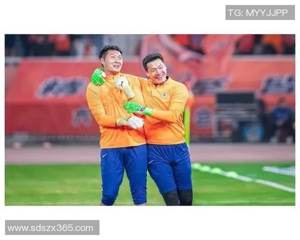 汉堡与菲尔特激战正酣比赛结果揭晓引发球迷热议