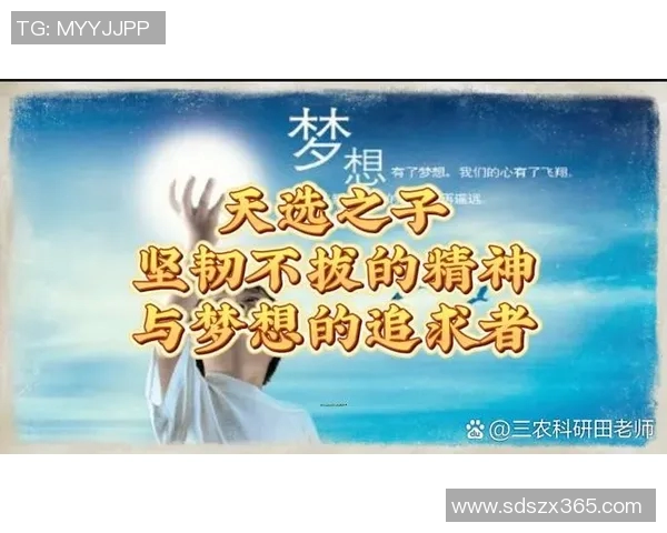 可兰白克的传奇人生与不屈精神探秘之旅