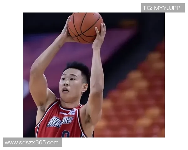 贺希宁：从篮球新星到职业生涯巅峰的奋斗与坚持之路