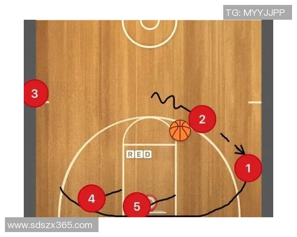布鲁克洛佩斯：从NBA巨星到篮球战术的关键人物分析