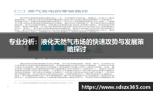 专业分析：液化天然气市场的快速攻势与发展策略探讨