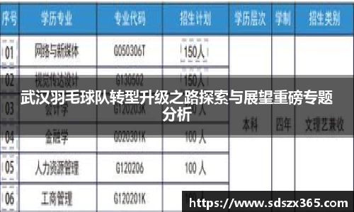 武汉羽毛球队转型升级之路探索与展望重磅专题分析