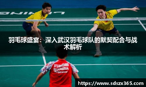 羽毛球盛宴：深入武汉羽毛球队的默契配合与战术解析